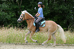 woman rides Haflinger