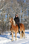 woman rides Haflinger