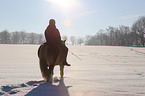 woman rides Haflinger