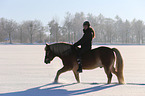 woman rides Haflinger