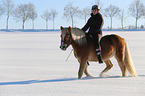 woman rides Haflinger