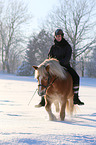 woman rides Haflinger