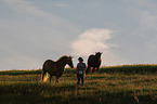 human and horses