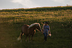 woman and Haflinger horse