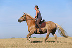 woman rides Haflinger Horse