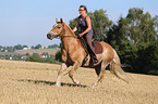 woman rides Haflinger Horse
