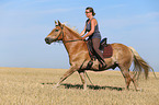 woman rides Haflinger Horse