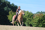 woman rides Haflinger Horse