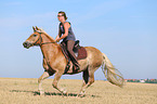 woman rides Haflinger Horse