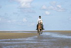 woman rides Haflinger Horse