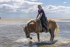 woman rides Haflinger Horse