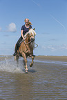 woman rides Haflinger Horse