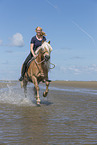 woman rides Haflinger Horse