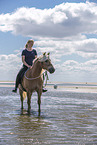 woman rides Haflinger Horse