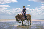 woman rides Haflinger Horse