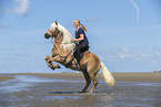 woman rides Haflinger Horse