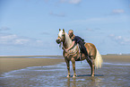 woman rides Haflinger Horse