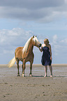 woman rides Haflinger Horse