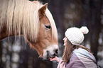 Haflinger with woman