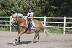 girl rides Haflinger