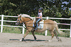 girl rides Haflinger