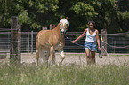 woman with Haflinger