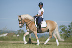 woman rides Haflinger