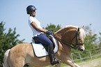 woman rides Haflinger