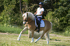 woman rides Haflinger