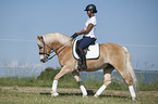 woman rides Haflinger