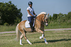 woman rides Haflinger