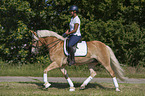 woman rides Haflinger