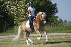 woman rides Haflinger