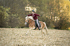 woman rides Haflinger
