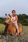 woman rides Haflinger horse