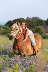 woman rides Haflinger horse