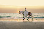 woman and Haflinger horse