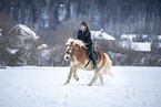 woman and Haflinger horse