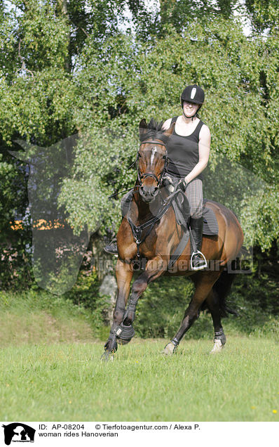 Frau reitet Hannoveraner / woman rides Hanoverian / AP-08204