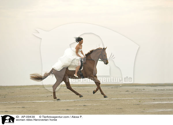 Frau reitet Hannoveraner / woman rides Hanoverian horse / AP-09438