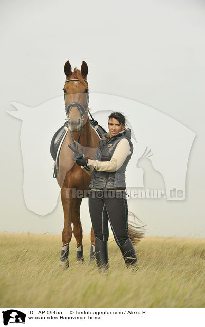 Frau reitet Hannoveraner / woman rides Hanoverian horse / AP-09455