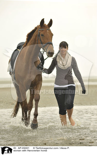 Frau mit Hannoveraner / woman with Hanoverian horse / AP-09461