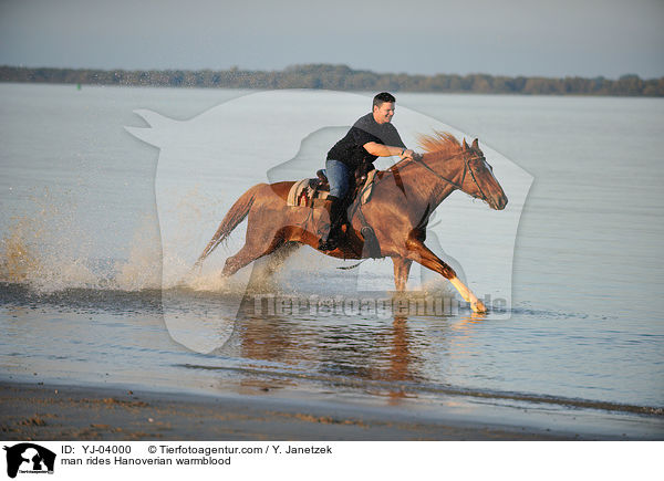 Mann reitet Hannoveraner / man rides Hanoverian warmblood / YJ-04000