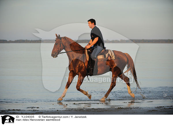 Mann reitet Hannoveraner / man rides Hanoverian warmblood / YJ-04005