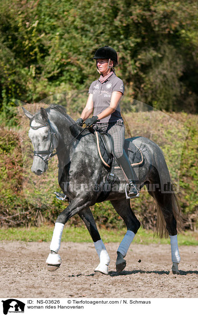 Frau reitet Hannoveraner / woman rides Hanoverian / NS-03626