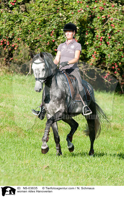 Frau reitet Hannoveraner / woman rides Hanoverian / NS-03635