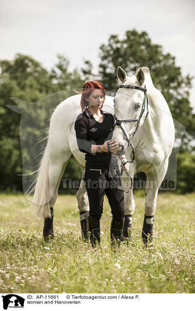 Frau und Hannoveraner / woman and Hanoverian / AP-11661