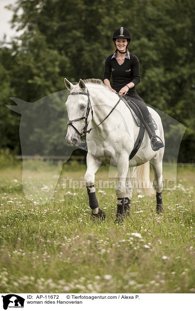 Frau reitet Hannoveraner / woman rides Hanoverian / AP-11672