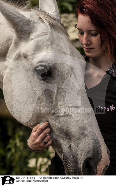 Frau und Hannoveraner / woman and Hanoverian / AP-11675