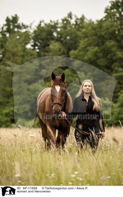 Frau und Hannoveraner / woman and Hanoverian / AP-11689
